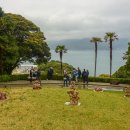 외도보타니아 이미지