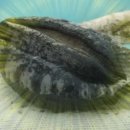 신전원일기 이미지