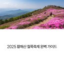 황매산 철쭉축제 2025 완벽 가이드
