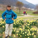 북한강강변길 이미지