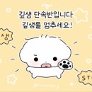 깊생 네이버블로그
