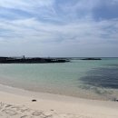 S.H 신흥태권도 | 개쫄보가 쓰는 현실 장호항 스노클링 후기