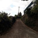 신효동-7 이미지