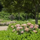 경의선숲길생태그림연구소 | 청주 미동산수목원 충북 여행지 자연 속 힐링 산책 코스 가볼만한 곳