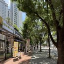 더진국 분당정자역점 | 2026 여름 휴가 냉콩국수 맛집 선비칼국수 분당정자역점 방문 후기