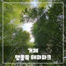 맹종죽테마파크1 | 거제 가볼만한 곳 맹종죽 테마파크, 대나무 숲에서 걷기 좋은 곳