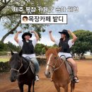 송이목장 | 제주 목장 카페 "목장카페 밭디" 승마체험 송이밭코스, 이색자전거, 먹이주기 체험후기