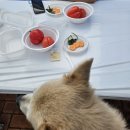 방하디딜방아 | 2025년 11월 새로운 경험 도전해보기