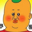 비바도기 이미지