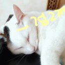 만수6동주민센터 이미지