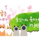 마더웍스스위밍룸