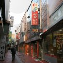 춘천명동닭갈비 Daum카페