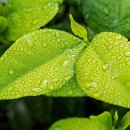 LED조명 아크릴 공예 이미지