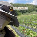 평입단 건축사사무소 | 2026 하반기 청창농 대출 신청 - 실행 전·후 서류차이와 대출금 늘린 후기