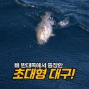 생철 | 골병낚시분들과 집나오면고생