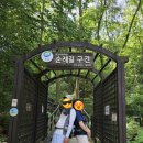 GS25 솔밭공원점 이미지