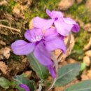 제일부동산중개 이미지