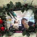 타카독스 커피 이미지