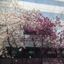 마중행정사 사무소 네이버블로그
