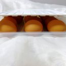 퍼털그라운드 이미지