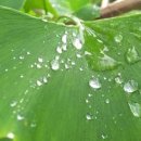 원조돼지국밥 이미지