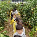 태규농장 이미지