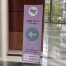 2022 7월 코엑스 서일페 후기V13 🌱 첫날 관람 시간 / 예매 / 부스 추천