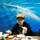 하이고래 이미지