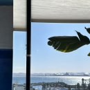 해안로1L 이미지