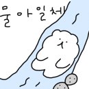 컨버스롯데평촌 이미지