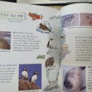 세계 문화 탐험 이미지