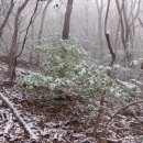 강천산군립공원 이미지