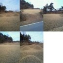 덕산면016 Daum카페