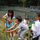 신방학초교 이미지