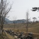 드래곤민박 이미지