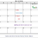 비바365