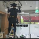 에코트리니티