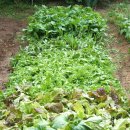 일구농장2 이미지