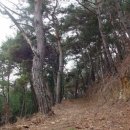 담양 만옹정 이미지