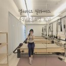 울산 달동 필라테스 얼웨이즈 소규모 4:1 맞춤 수업 후기