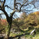 입암유적공원 이미지