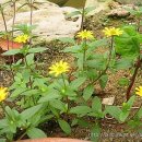 선황농장 이미지