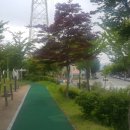 연향녹지대 이미지