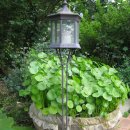 아림농장 이미지