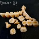 원치과기공소 | 강동구 성내동 치과 원치과기공소 진료시간 접근성 이용후기