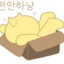 지나타로 이미지