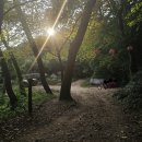 차밭골