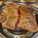 은행나무갈매기 이미지