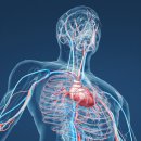 터미널 헬스 이미지