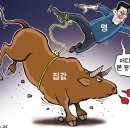 17 이미지